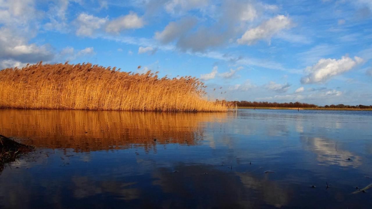 Emilias Hues, Reethaus In Der Bucht Von Wismar Zierow Exterior foto