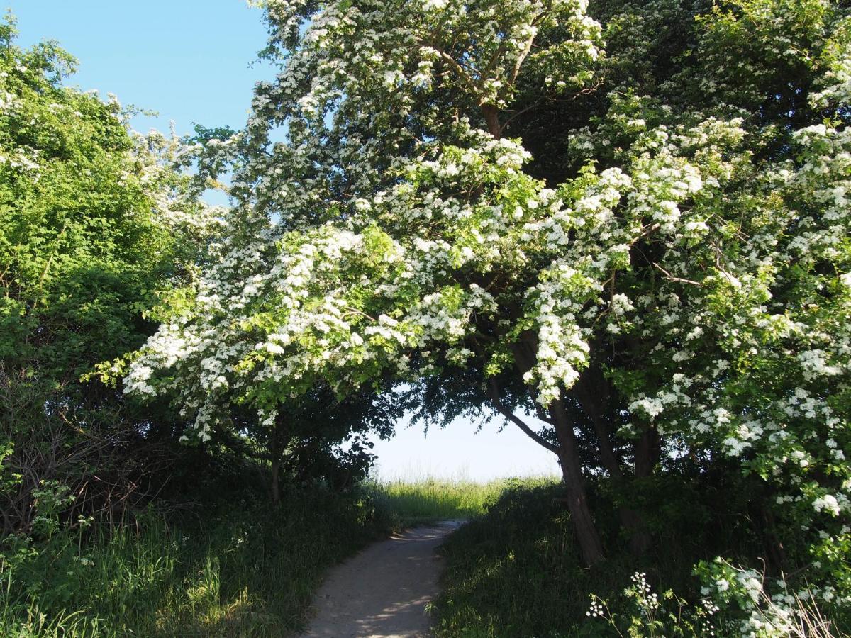 Emilias Hues, Reethaus In Der Bucht Von Wismar Zierow Exterior foto